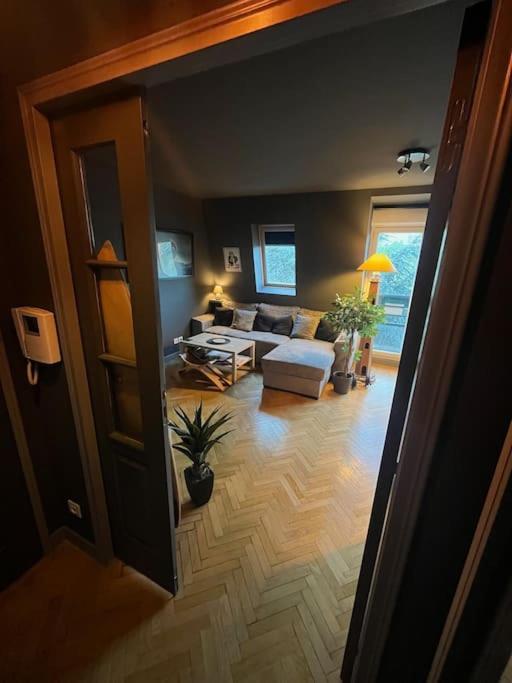 Appartement Cosy Le Chesnay Le Chesnay  Extérieur photo